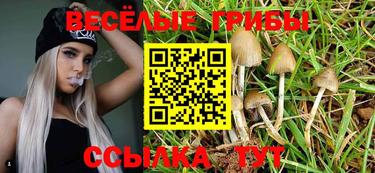 Галлюциногенные грибы Magic Shrooms Каменск-Шахтинский