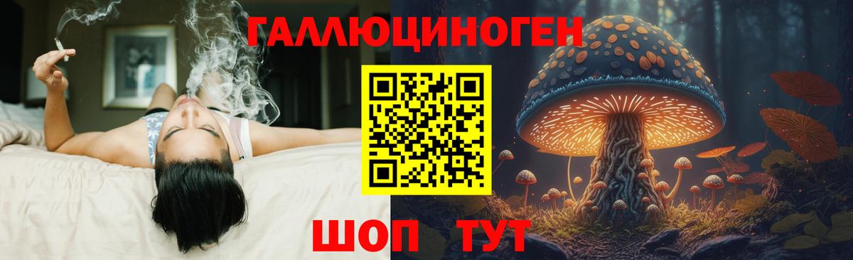 Каменск-Шахтинский  Псилоцибиновые грибы Magic Shrooms  что такое наркотик  Вход с VPN  Псилоцибиновые грибы Psilocybine cubensis 